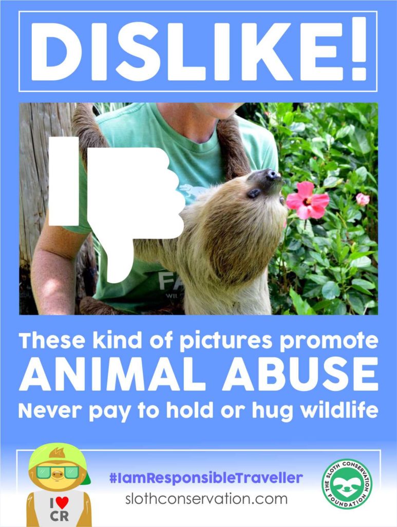 dislike animal abuse