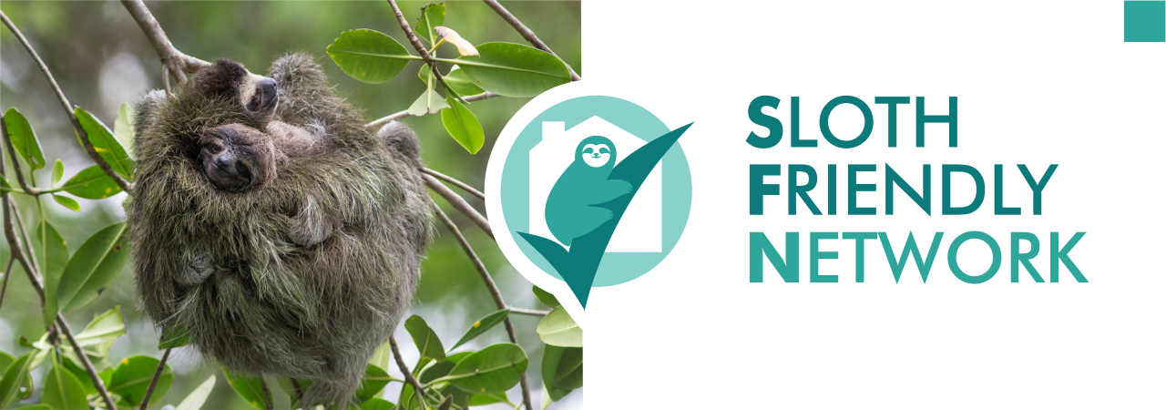 sloth friendly network