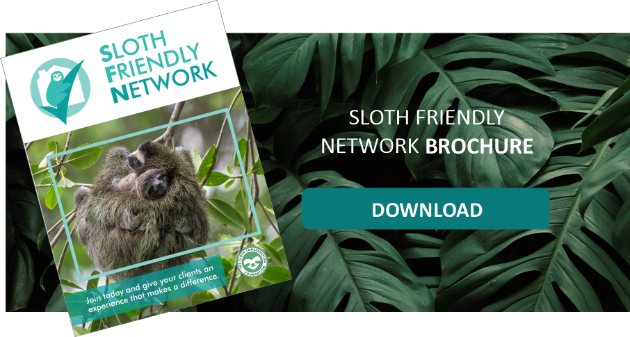 sloth tourism