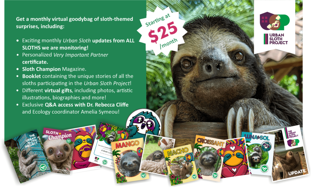 adopt a sloth subscribe VIP
