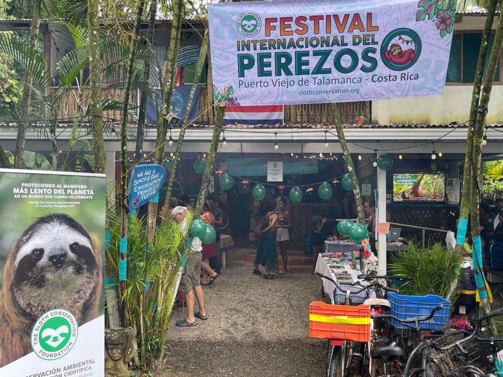 sloth festival