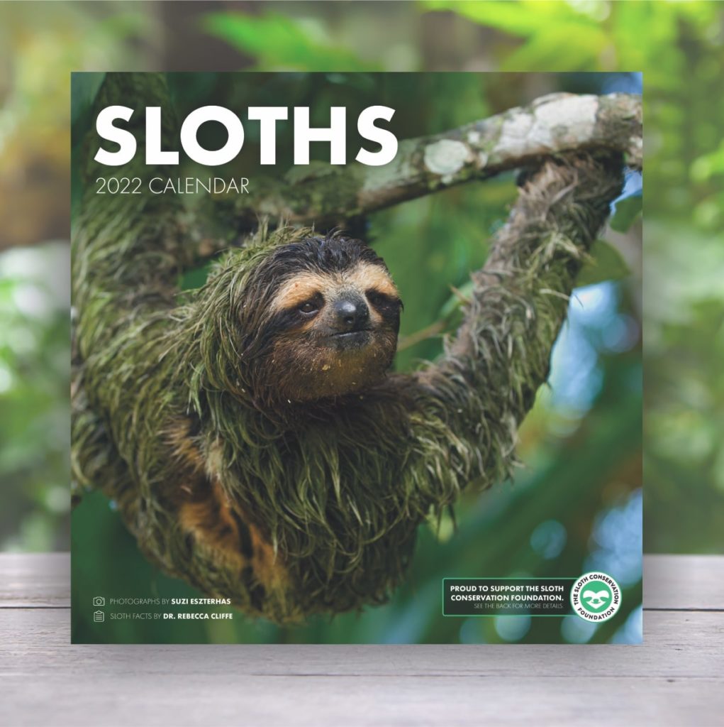 sloth calendar