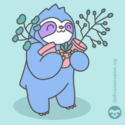 sloth tree planter illustration