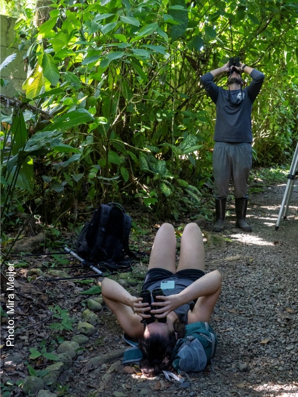 sloth tracking monitoring using binoculars